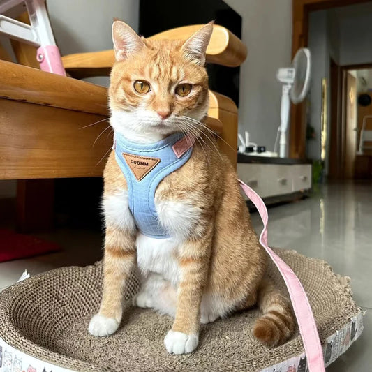 Soft Cat Harness and Leash