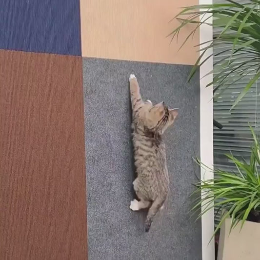 Purradise™ -  Cat Scratching Multi Mat